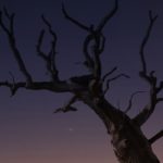 Photo by Frantzou Freuline, www.unsplash.com