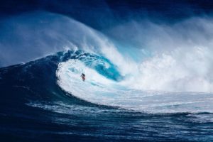 www.unsplash.com